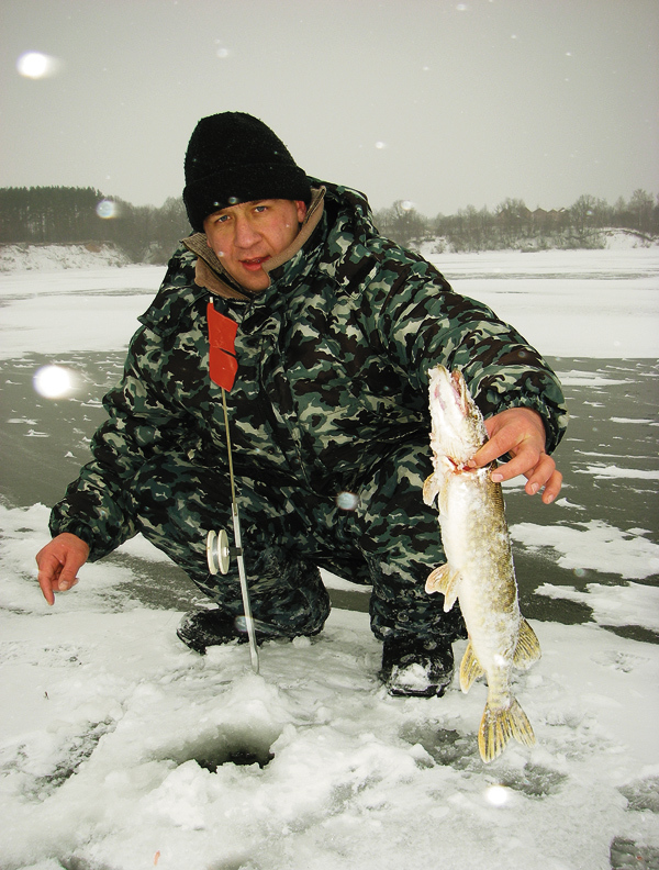 Изображение Фото Анатолия Маилкова.
Ближняя жерлица дернулась в отдаче от вскида флажка и зашелестела быстро раскручиваемой катушкой.