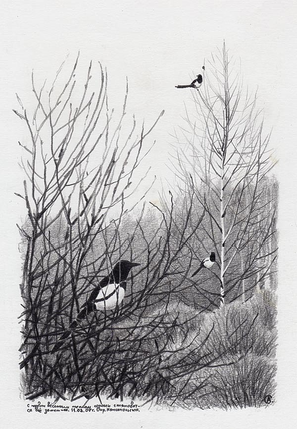 Изображение Рисунок Алексея Субботина