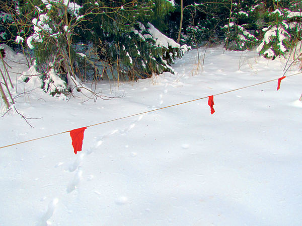 Изображение ФОТО: Степан Сивцев