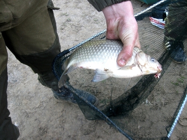 Изображение Фото: Токарева Александра. 