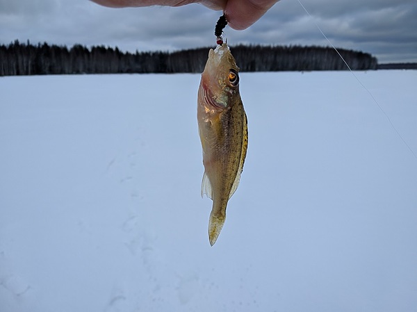 Изображение Мормышка самоделка. Фото: Трембицкого Алексея. 