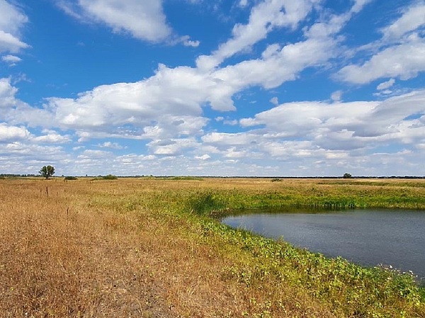 Изображение Фото: Коломийца Алексея.