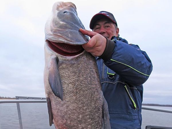 Изображение Фото: Алексей Коломиец. 