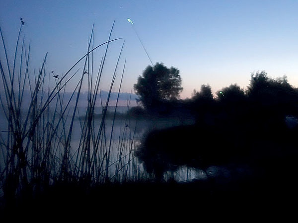 Изображение Чтобы ночью было комфортно ловить, место для предстоящей рыбалки необходимо подготовить еще днем. Фото: Николай Линник. 