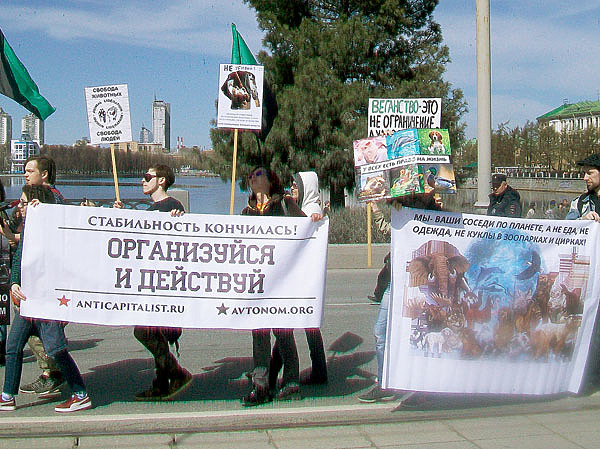 Изображение Широкие массы против убийства животных, но не против холодца и гуся на рождественском столе. ФОТО ИВАНА АБАТУРОВА/WIKIMEDIA.ORG (CC BY-SA 4.0)