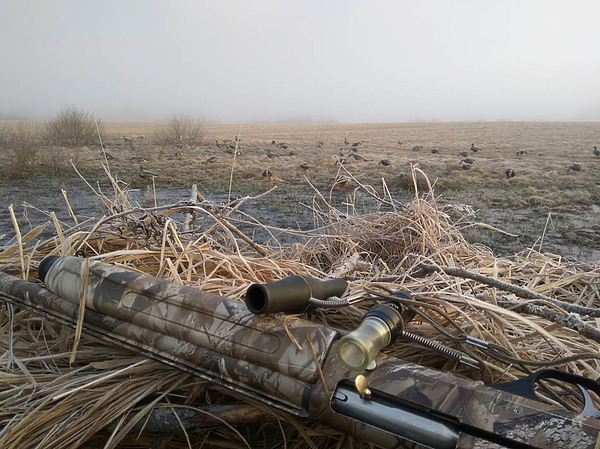 Изображение фото: Михаила Семина