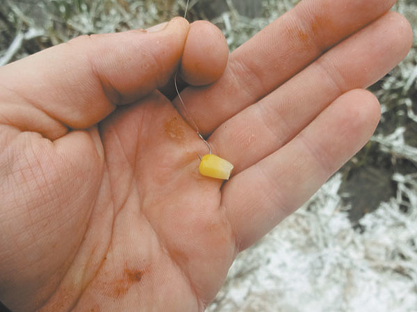 Изображение Фото автора.