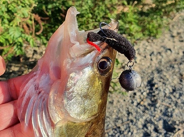 Изображение Фото: Коломийца Алексея. 