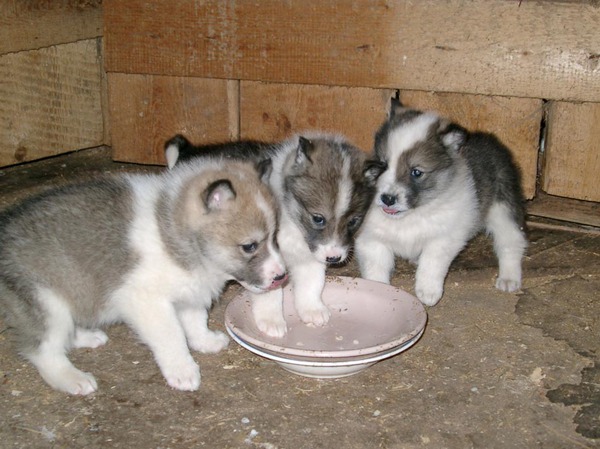 Изображение фото Семина Михаила 