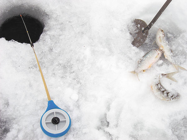 Изображение Фото: Маилкова Анатолия.
