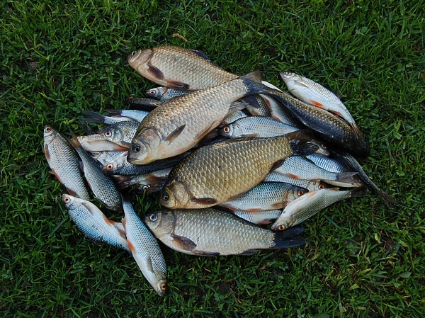 Изображение Фото: Андрей Яншевский.