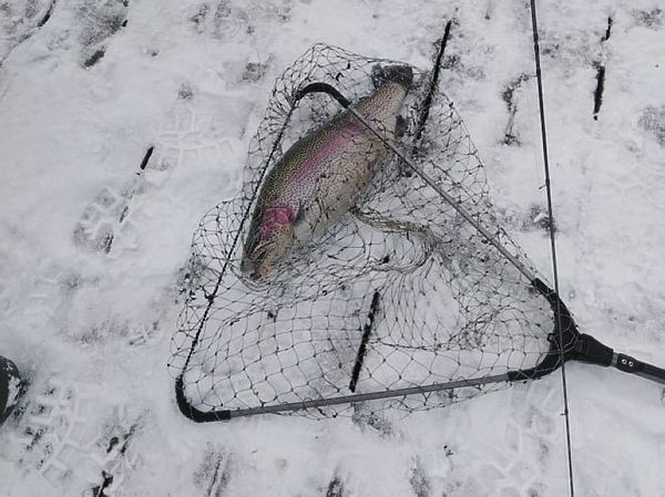 Изображение Фото: Рыбное.