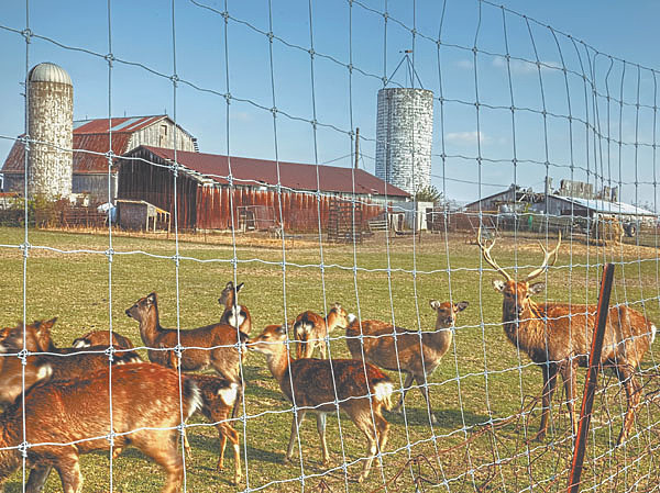 Изображение Фото Pixabay 