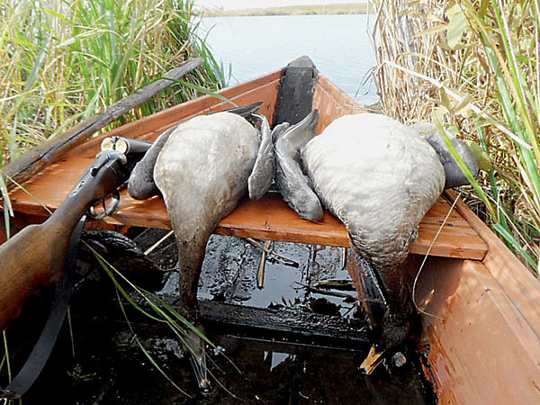 Изображение Нежданный, но от этого вдвойне приятный сюрприз. ФОТО ИГОРЯ ЛИСУКОНЯ 