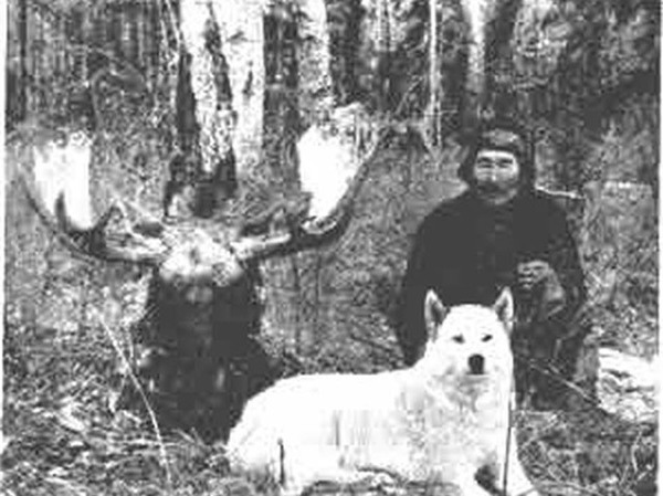 Изображение Охотник И.Н.Каплин (Катангский район) после удачной охоты на лося.Фото из книги А.В. Гейца "Восточносибирская лайка" (1968 г.)