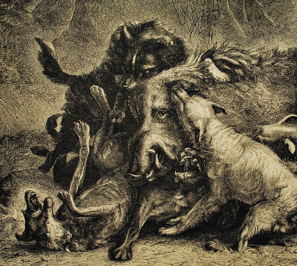 Изображение 134. Альбом типов охотничьих собак. 
Приложение к журналу «Русский охотник» 1891 г. in folio, 4 руб., после 1 руб. 50 коп.
Восемь литографированных изображений собак, некоторые нарисованы неудовлетворительно. 