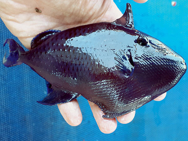 Изображение Фото: Андрей Рыбаков.