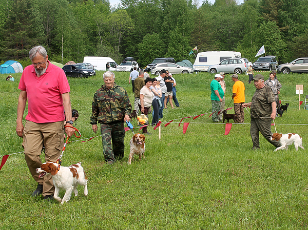 Изображение фото: Сергея Фокина