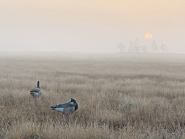 Изображение Казалось бы, Карелия, болота, а найти уединенное место совсем непросто. Фото автора.