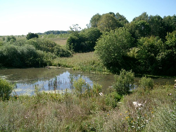Изображение фото: Рудмана Виктора 