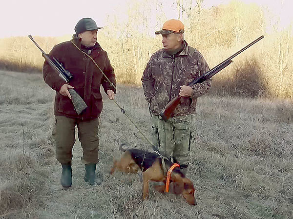 Изображение Охота с хорошо поставленными собаками яркая, азартная и добычливая. Фото автора.