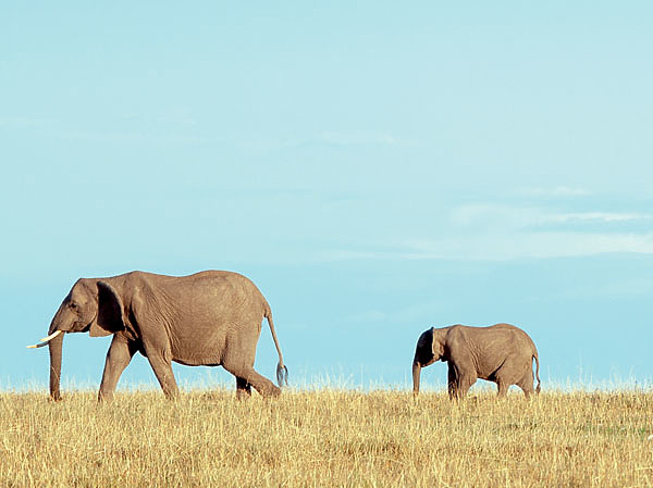 Изображение ФОТО SHUTTERSTOCK 