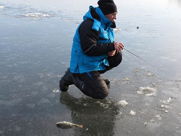 Изображение Фото: Алексей Коломиец. 