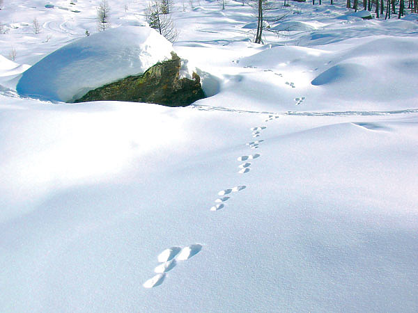 Изображение Фото автора.