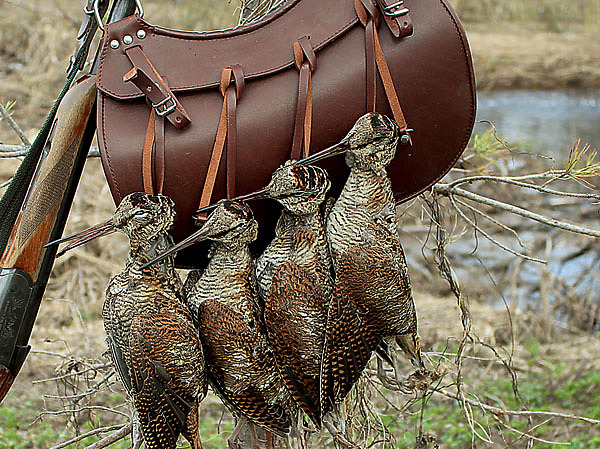 Изображение Фото автора. 
