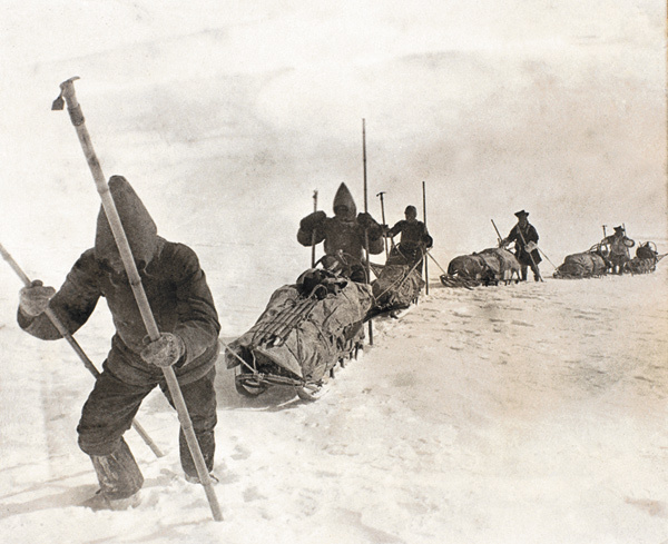 Изображение САНИ, ВЕЗИТЕ САМИ!
Норвежцы усовершенствовали технику использования собачьих упряжек. Нансен определил, что скорость лыжника и собачьей упряжки с грузом одинакова, и понял, что человек может передвигаться самостоятельно, а не сидеть на санях. Таким образом повышалась полезная площадь для перевозки грузов. Русские же путешественники, напротив, предпочитали сами ездить на санях и управлять упряжкой.
