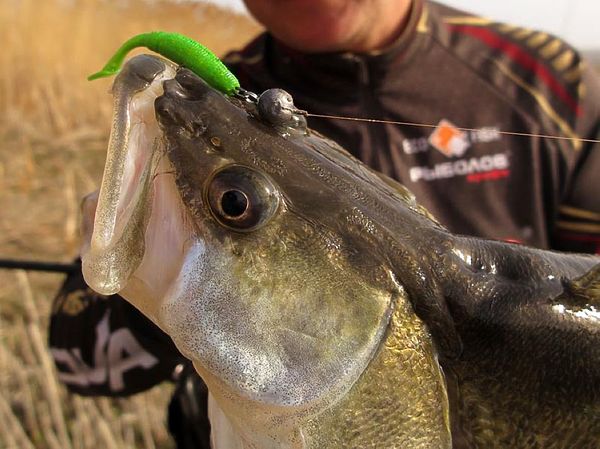 Изображение Mottomo Typhoon - аккуратный такой риппер, длинненький, должен лететь хорошо. Фото: Алексей Коломиец.