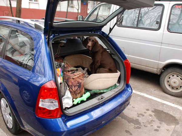 Изображение За несколько минут до отъезда. Фото: Сёмина Михаила