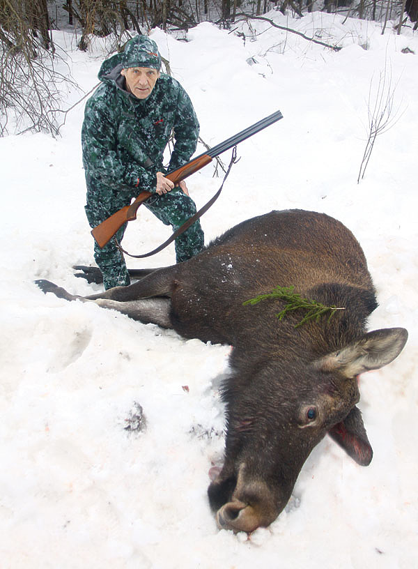 Изображение На коротких дистанциях пуля из гладкоствольного ружья обладает превосходной эффективностью. ФОТО: АНТОН ЖУРАВКОВ, SHUTTERSTOCK 