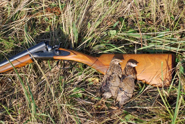 Изображение ТОЗ-63, папковые гильзы из старых запасов... Такое сочетание - не каждому по душе... Фото Сёмина Михаила