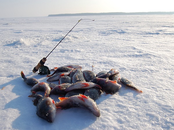 Изображение Фото: Яншевского Андрея.