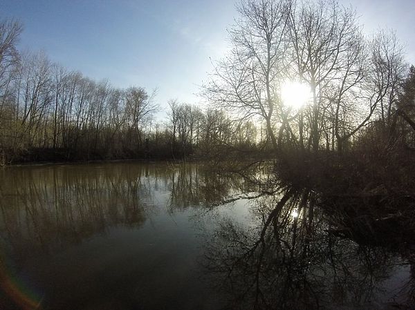 Изображение Фото: Александр Токарев.