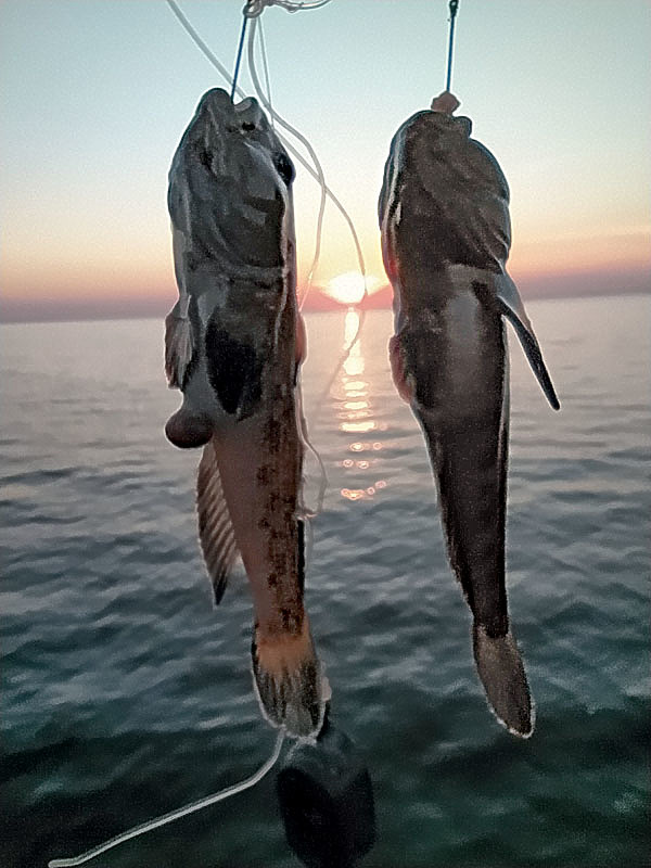 Изображение Фото: Владимир Супруненко. 