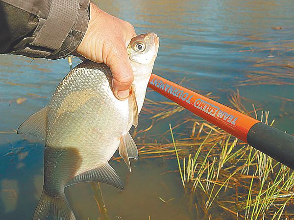 Изображение Фото: Николай Линник.