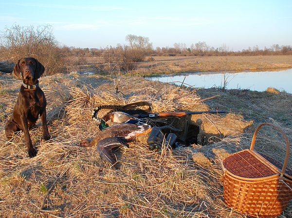 Изображение фото: Михаила Семина
