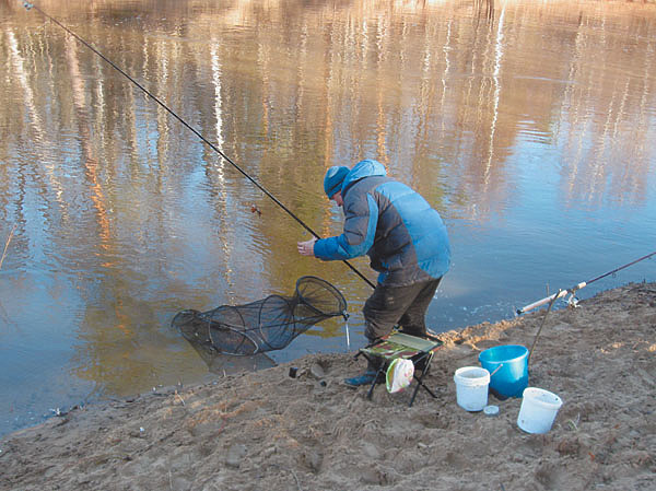 Изображение Фото: Токарева Александра.