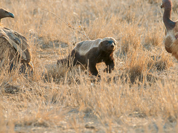 Изображение ФОТО: SHUTTERSTOCK
