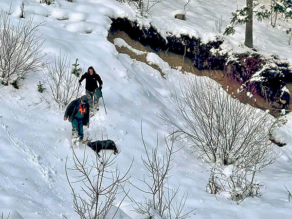 Изображение Фото автора.