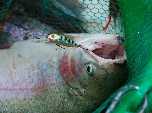 Изображение Фото: Андрей Яншевский. 