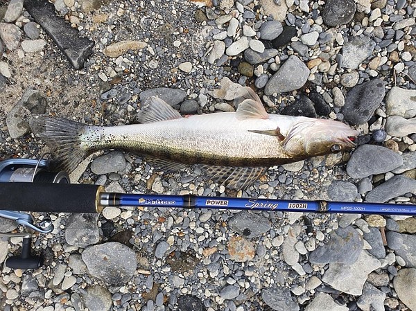 Изображение Фото: Коломийца Алексея. 