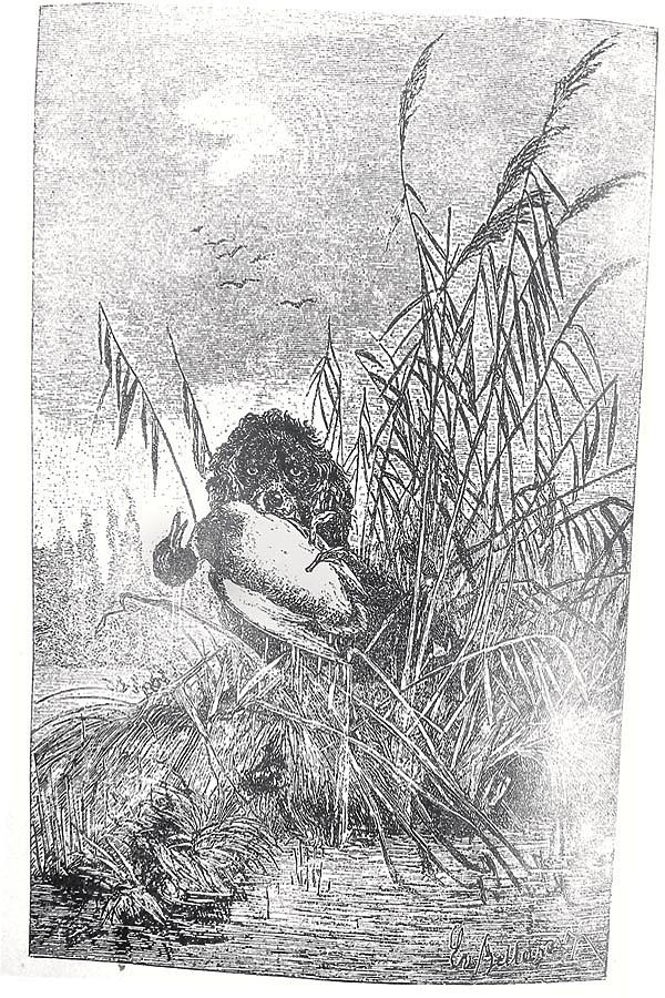 Изображение ИЛЛЮСТРАЦИЯ ИЗ АРХИВА ПАВЛА ГУСЕВА 