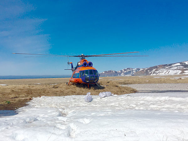 Изображение Фото автора.