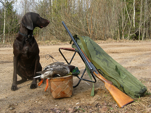 Изображение фото: Михаила Семина