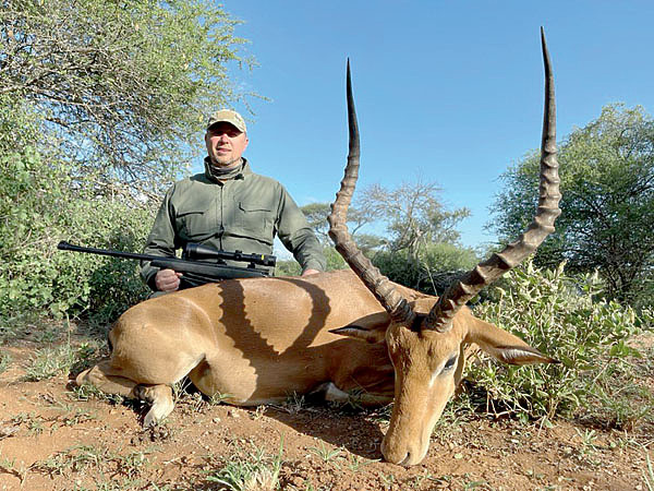 Изображение Импала — стройная антилопа среднего размера. По телосложению во многом напоминает водного козла или газель Гранта. Фото автора.