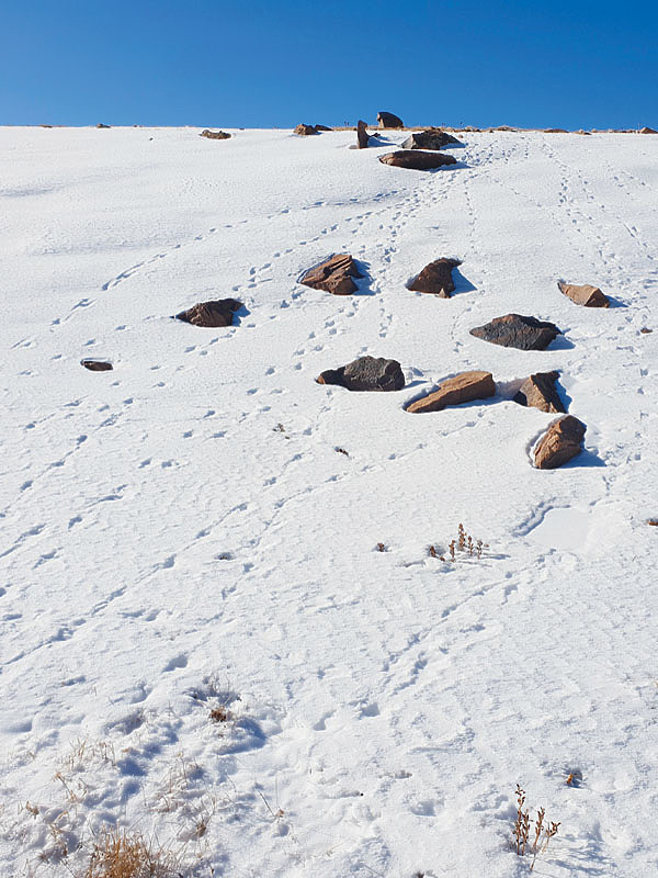 Изображение Фото автора.