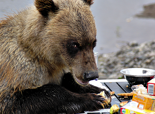 Изображение Фото Валерия Павлова 